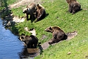 Skandinavisk Dyrepark